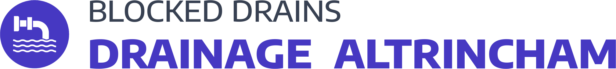 website logo